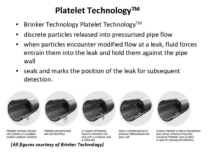 Platelet Technology. TM • Brinker Technology Platelet Technology. TM • discrete particles released into