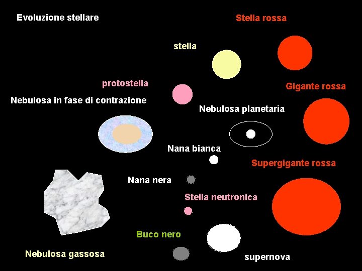 Evoluzione stellare Stella rossa stella protostella Gigante rossa Nebulosa in fase di contrazione Nebulosa