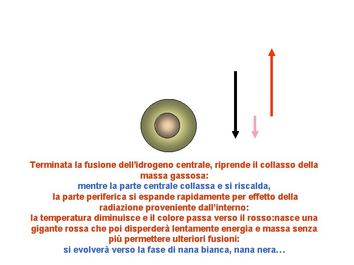 Terminata la fusione dell’idrogeno centrale, riprende il collasso della massa gassosa: mentre la parte