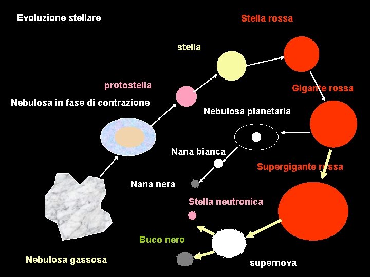 Evoluzione stellare Stella rossa stella protostella Gigante rossa Nebulosa in fase di contrazione Nebulosa