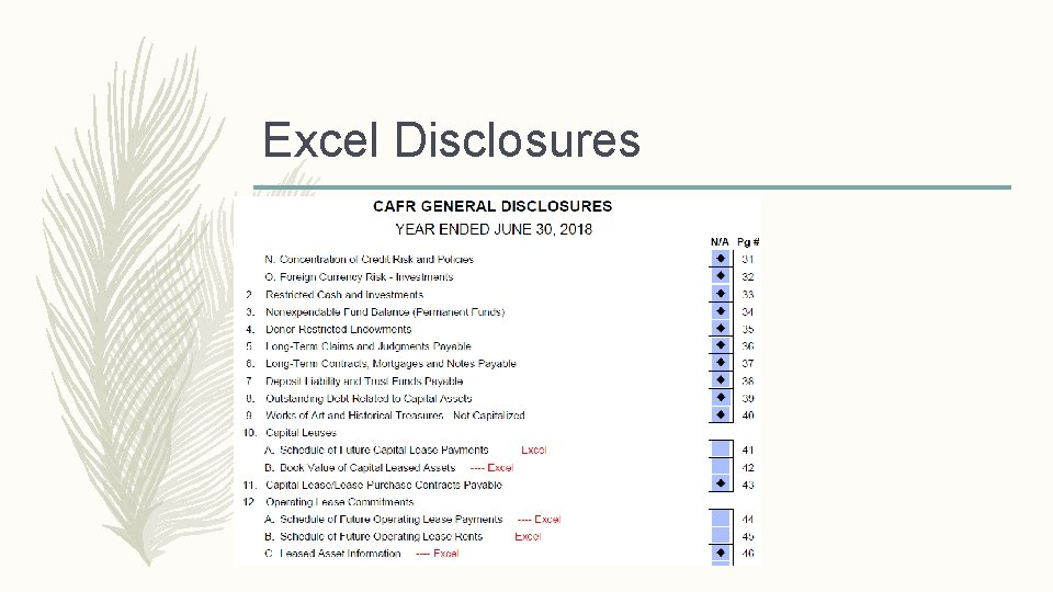 Excel Disclosures 