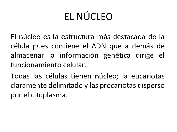 EL NÚCLEO El núcleo es la estructura más destacada de la célula pues contiene