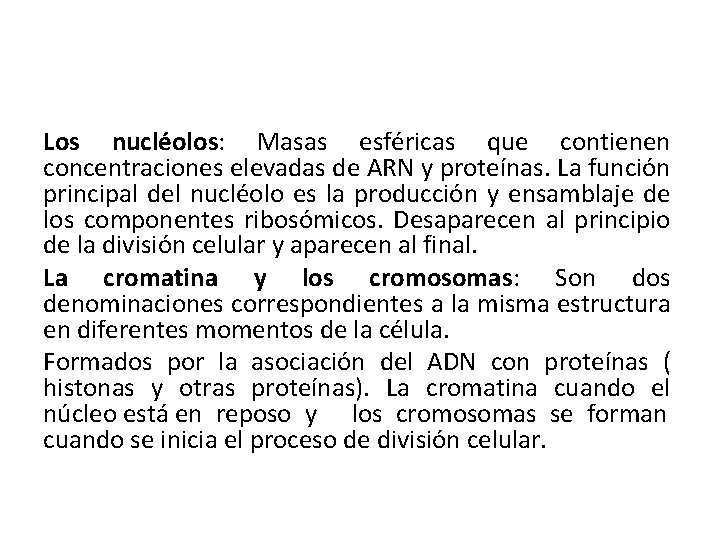 Los nucléolos: Masas esféricas que contienen concentraciones elevadas de ARN y proteínas. La función