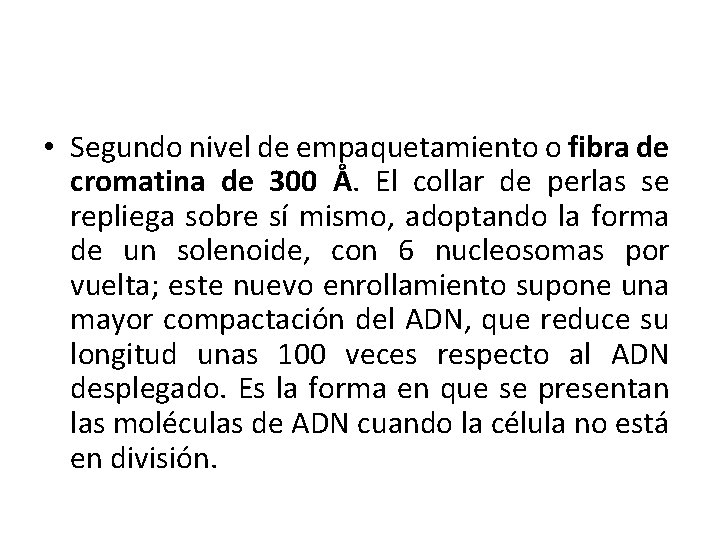  • Segundo nivel de empaquetamiento o fibra de cromatina de 300 Å. El