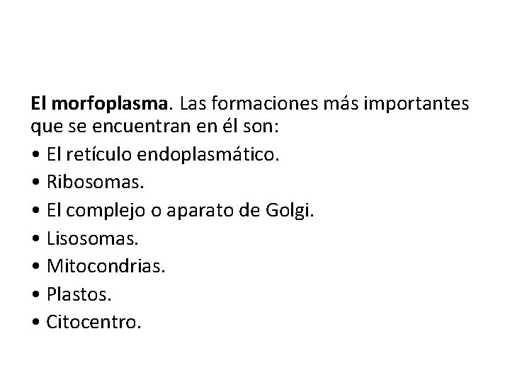 El morfoplasma. Las formaciones más importantes que se encuentran en él son: • El