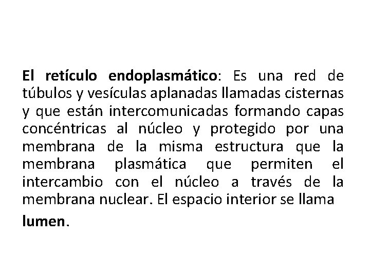 El retículo endoplasmático: Es una red de túbulos y vesículas aplanadas llamadas cisternas y