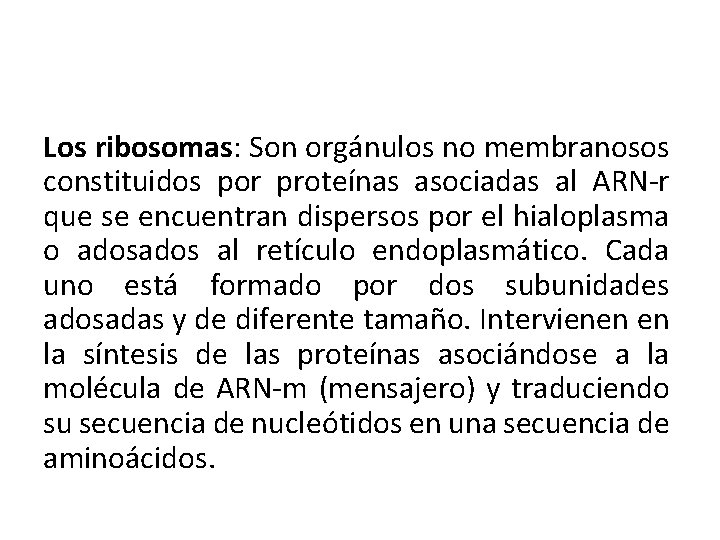 Los ribosomas: Son orgánulos no membranosos constituidos por proteínas asociadas al ARN-r que se