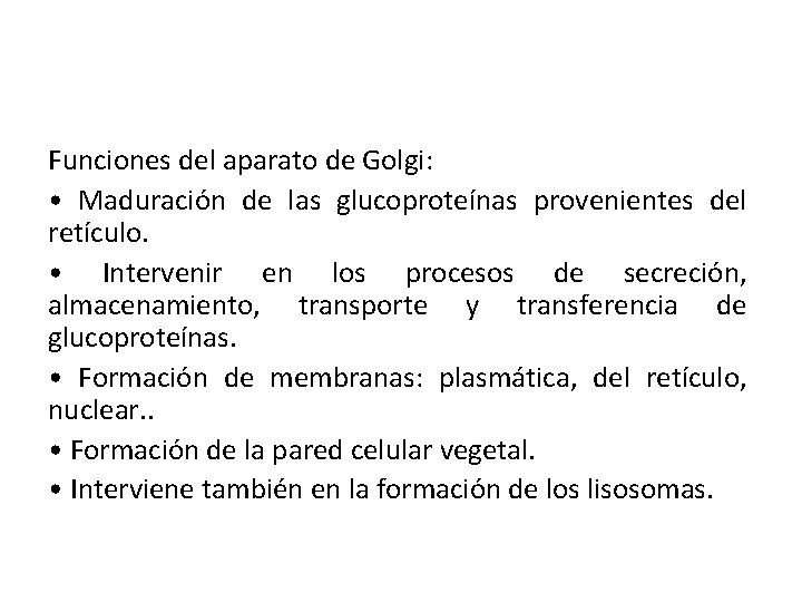 Funciones del aparato de Golgi: • Maduración de las glucoproteínas provenientes del retículo. •