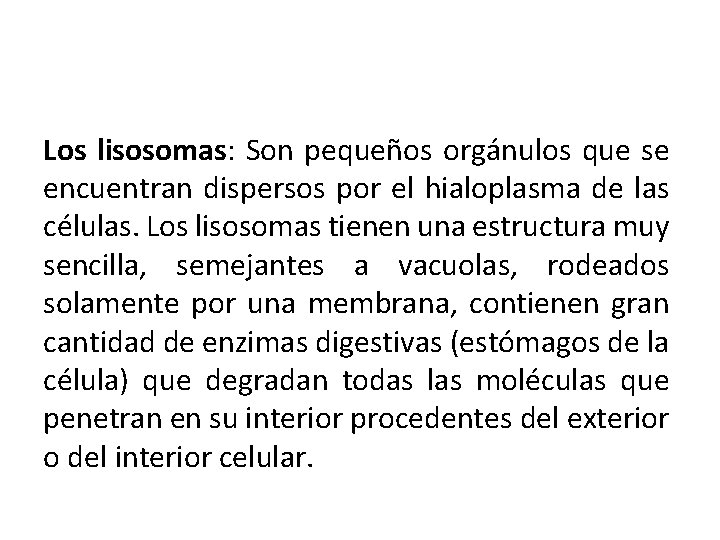 Los lisosomas: Son pequeños orgánulos que se encuentran dispersos por el hialoplasma de las