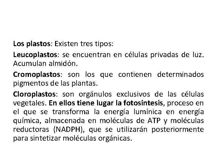 Los plastos: Existen tres tipos: Leucoplastos: se encuentran en células privadas de luz. Acumulan