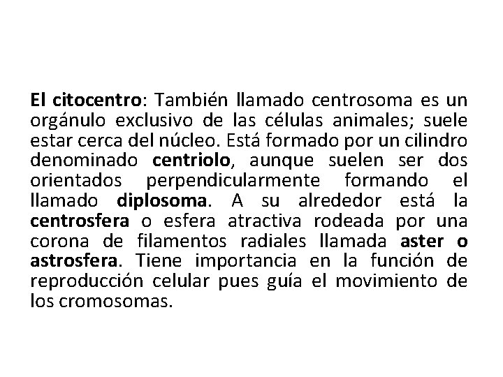 El citocentro: También llamado centrosoma es un orgánulo exclusivo de las células animales; suele