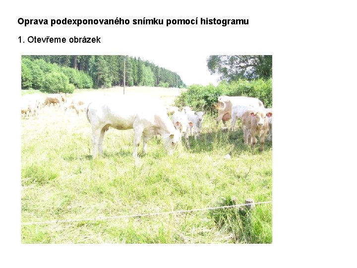 Oprava podexponovaného snímku pomocí histogramu 1. Otevřeme obrázek 