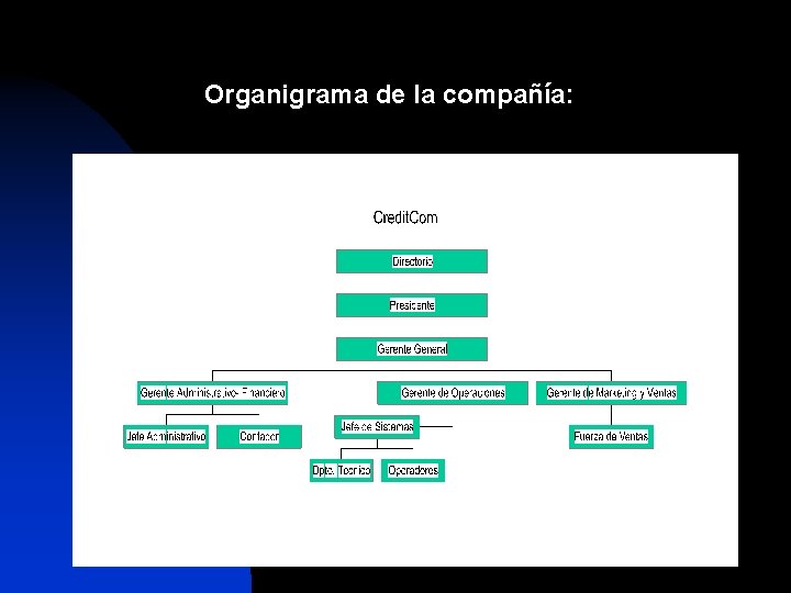 Organigrama de la compañía: 