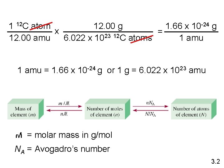 1 12 C atom 12. 00 g 1. 66 x 10 -24 g x