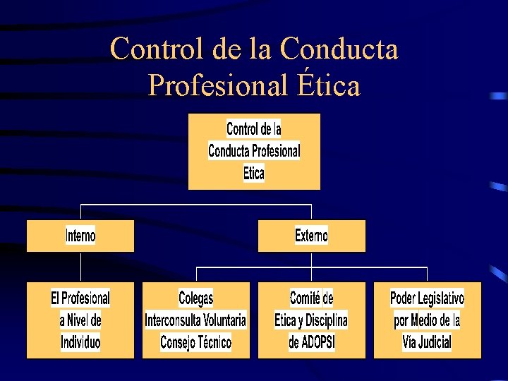 Control de la Conducta Profesional Ética 