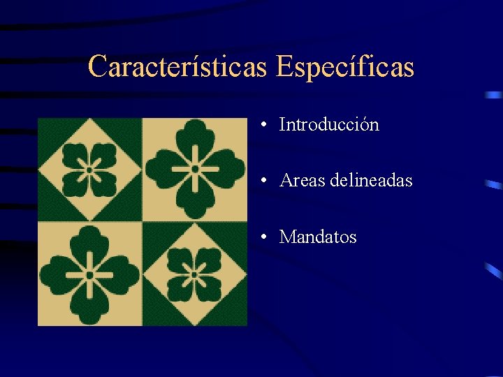 Características Específicas • Introducción • Areas delineadas • Mandatos 