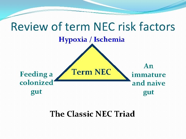 Review of term NEC risk factors Hypoxia / Ischemia Feeding a colonized gut Term Review of term NEC risk factors Hypoxia / Ischemia Feeding a colonized gut Term