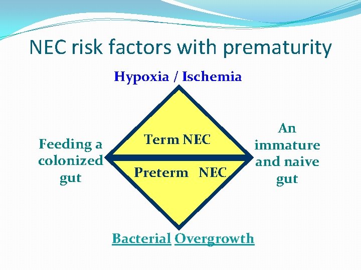 NEC risk factors with prematurity Hypoxia / Ischemia Feeding a colonized gut Term NEC