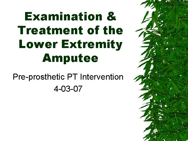 Examination & Treatment of the Lower Extremity Amputee Pre-prosthetic PT Intervention 4 -03 -07