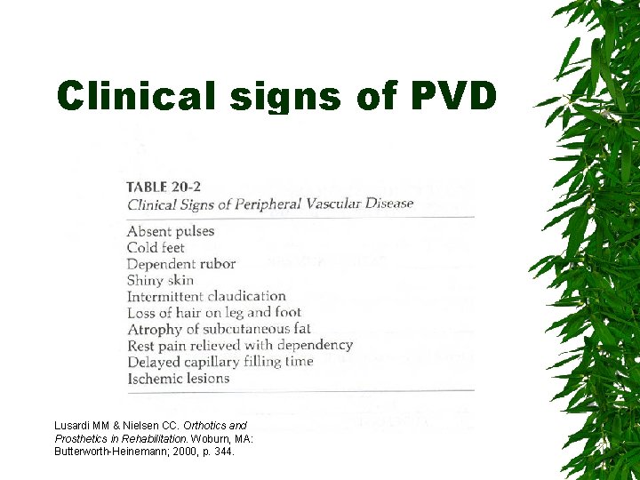 Clinical signs of PVD Lusardi MM & Nielsen CC. Orthotics and Prosthetics in Rehabilitation.