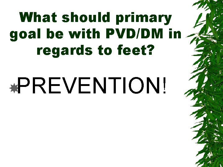 What should primary goal be with PVD/DM in regards to feet? PREVENTION! 