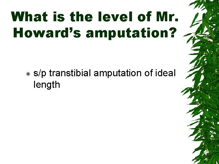 What is the level of Mr. Howard’s amputation? s/p transtibial amputation of ideal length