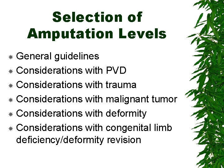 Selection of Amputation Levels General guidelines Considerations with PVD Considerations with trauma Considerations with