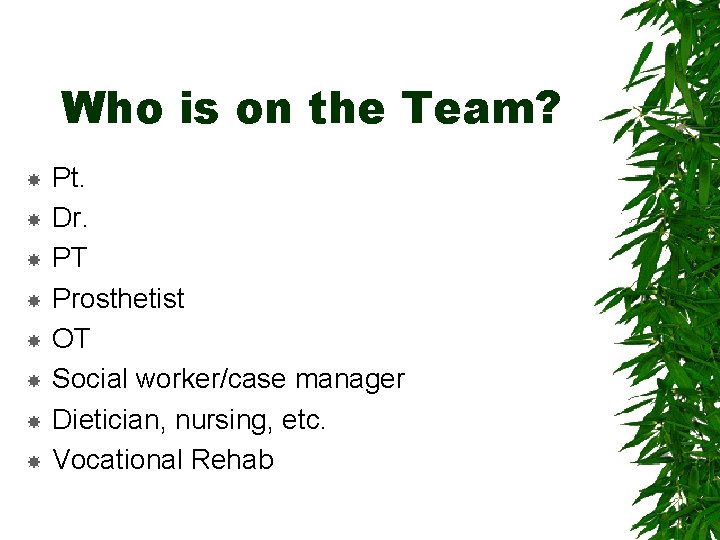 Who is on the Team? Pt. Dr. PT Prosthetist OT Social worker/case manager Dietician,