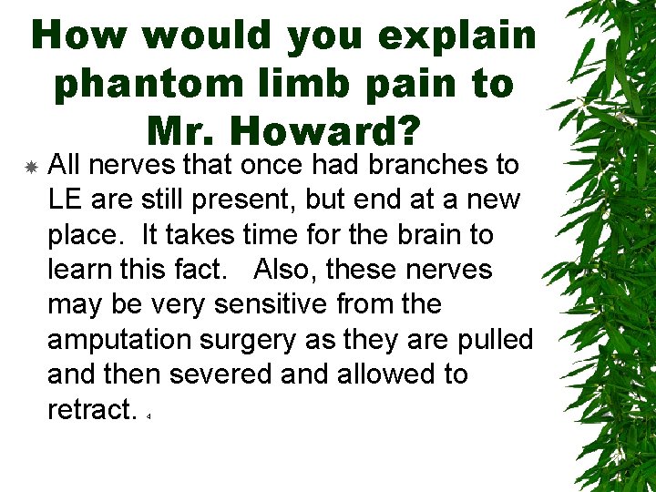 How would you explain phantom limb pain to Mr. Howard? All nerves that once