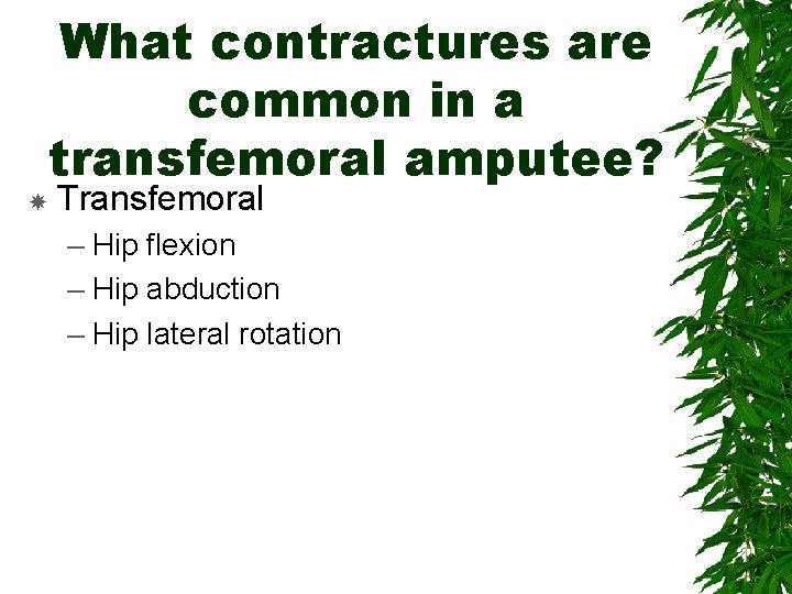 What contractures are common in a transfemoral amputee? Transfemoral – Hip flexion – Hip