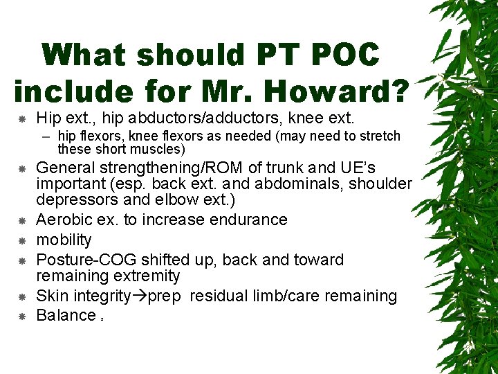 What should PT POC include for Mr. Howard? Hip ext. , hip abductors/adductors, knee