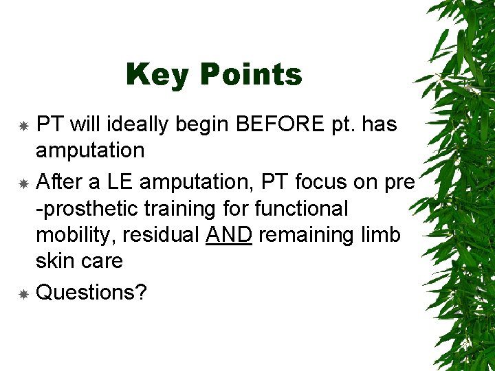 Key Points PT will ideally begin BEFORE pt. has amputation After a LE amputation,