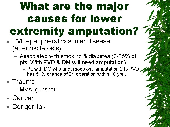 What are the major causes for lower extremity amputation? PVD=peripheral vascular disease (arteriosclerosis) –