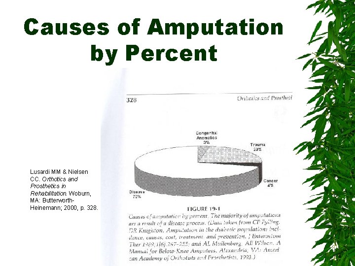 Causes of Amputation by Percent Lusardi MM & Nielsen CC. Orthotics and Prosthetics in