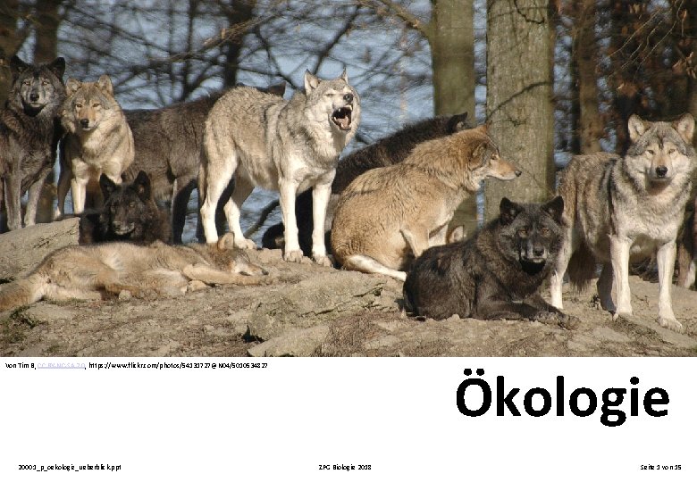 Ökologie Von Tim B, CC BY-NC-SA 2. 0, https: //www. flickr. com/photos/54131727@N 04/5010534827 20001_p_oekologie_ueberblick.