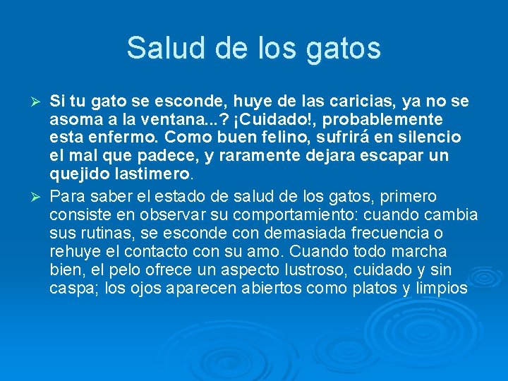 Salud de los gatos Si tu gato se esconde, huye de las caricias, ya