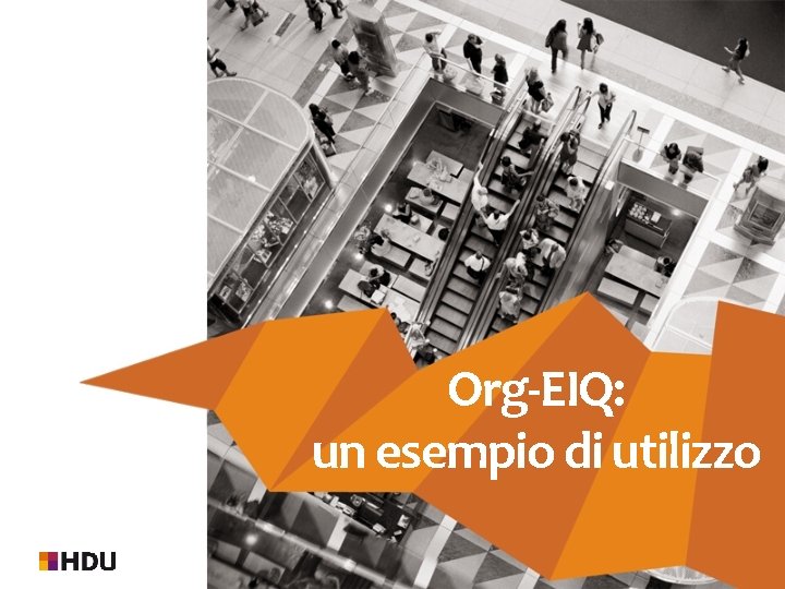 Org-EIQ: un esempio di utilizzo 