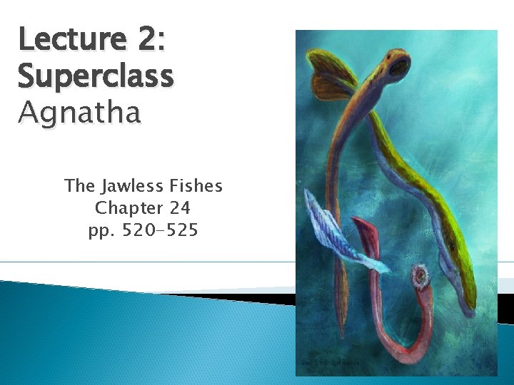 Lecture 2: Superclass Agnatha The Jawless Fishes Chapter 24 pp. 520 -525 