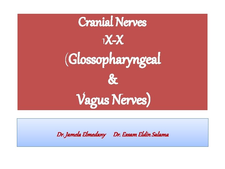 Cranial Nerves 1 X-X (Glossopharyngeal & Vagus Nerves) Dr. Jamela Elmedany Dr. Essam Eldin