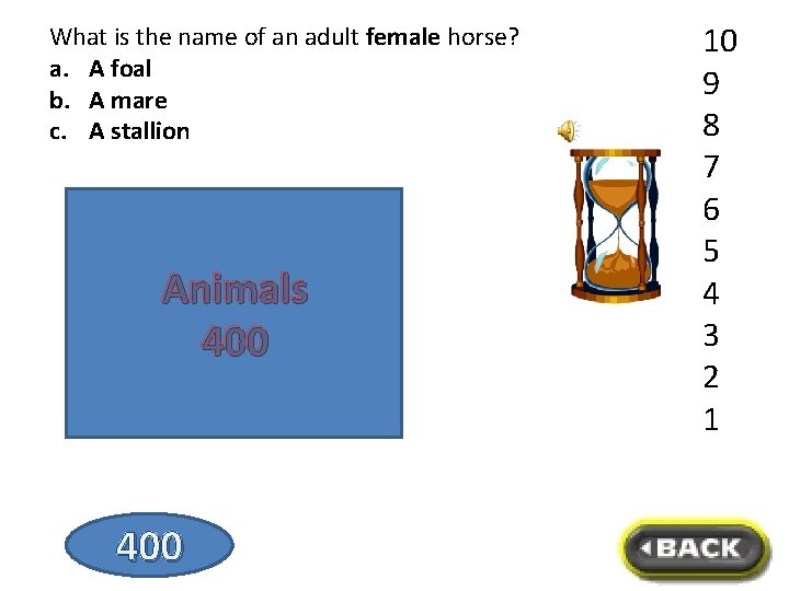 What is the name of an adult female horse? a. A foal b. A