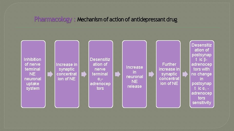 Pharmacology : Mechanism of action of antidepressant drug Inhibition of nerve terminal NE neuronal