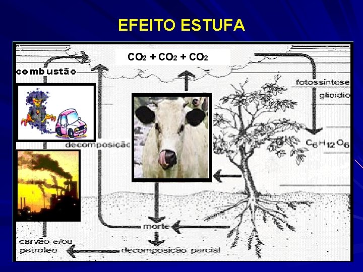 EFEITO ESTUFA CO 2 + CO 2 