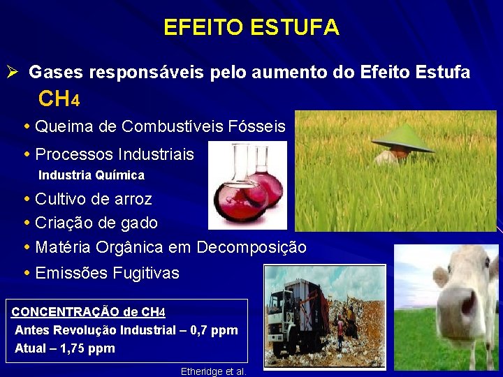 EFEITO ESTUFA Ø Gases responsáveis pelo aumento do Efeito Estufa CH 4 Queima de