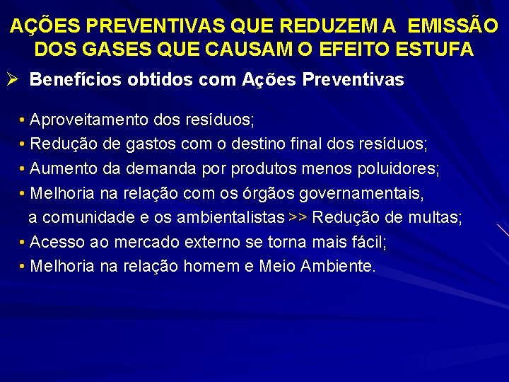 AÇÕES PREVENTIVAS QUE REDUZEM A EMISSÃO DOS GASES QUE CAUSAM O EFEITO ESTUFA Ø