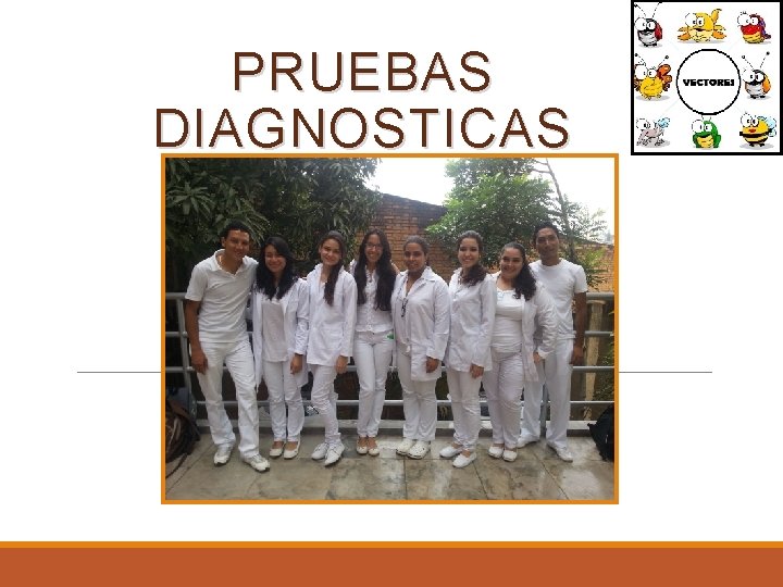 PRUEBAS DIAGNOSTICAS 