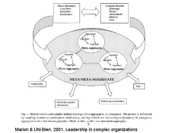 9 Marion & Uhl-Bien, 2001, Leadership in complex organizations 