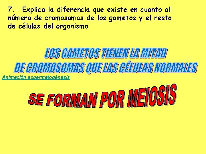 7. - Explica la diferencia que existe en cuanto al número de cromosomas de