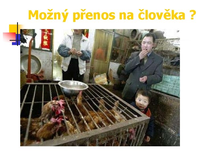 Možný přenos na člověka ? 