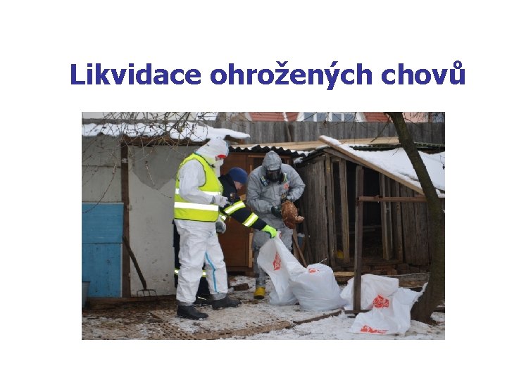 Likvidace ohrožených chovů 
