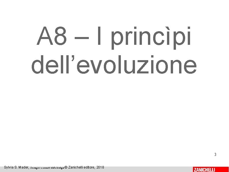 A 8 – I princìpi dell’evoluzione 3 Sylvia S. Mader, Immagini e concetti della